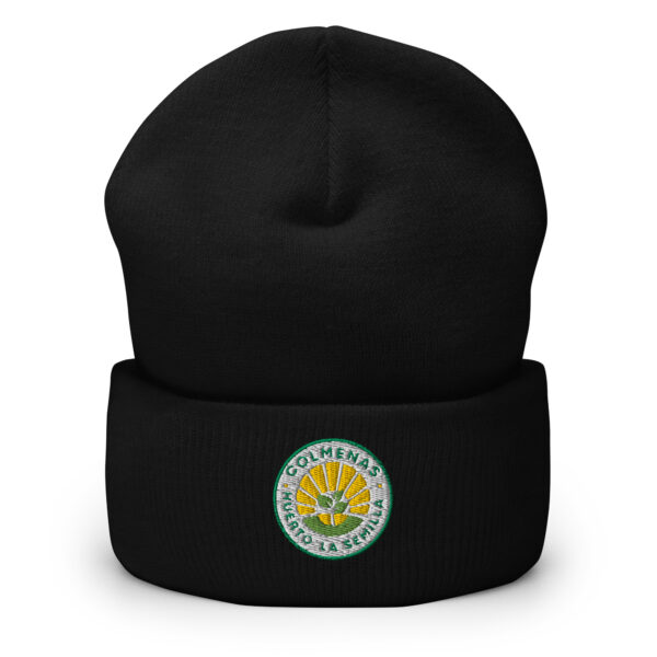 Cuffed Beanie